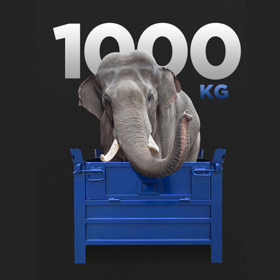 big.img.alt